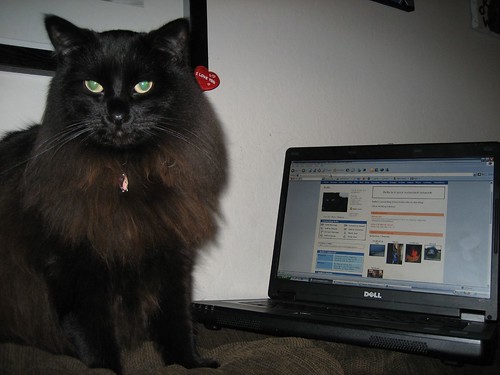 Bella's checking her Myspace comments