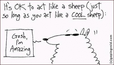 Cool sheep