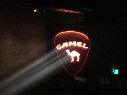 Camel in Smoke