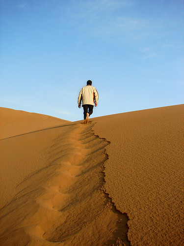 Wandering in the Desert
