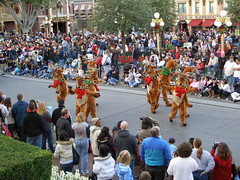 Disneyland in December (32)