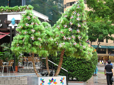 Christmas Tree Minis