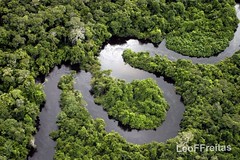 Floresta Amazônica, até quando? / Amazonian Forest, until when? / Amazona Arbaro, ĝis kiam?