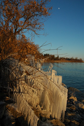 icicles, lake, afternoon moon