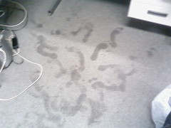 Office Floor Footprints