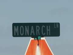 monarch lane