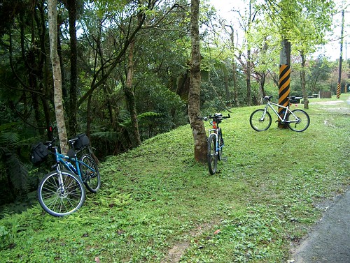 單車與草地