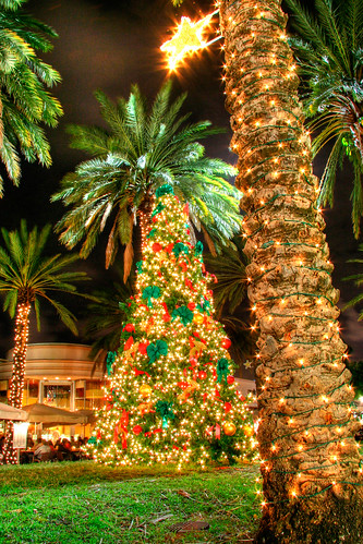 palm tree christmas pose