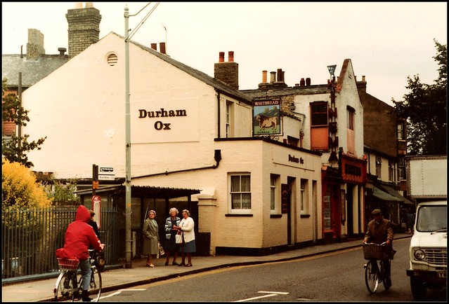 Cambridge 1982: Durham Ox