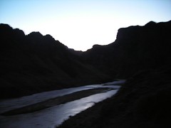 Colorado river in the early light