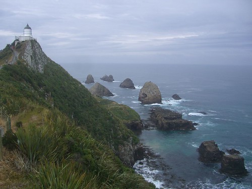 Nugget Point!