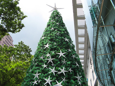 The Paragon Star Tree at Daylight