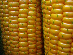 Corn Wrap