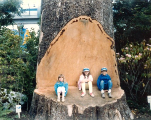 Expo 86 - A... big tree.