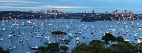 Boats gather in the harbour