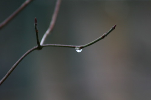 droplet -- Jan 15