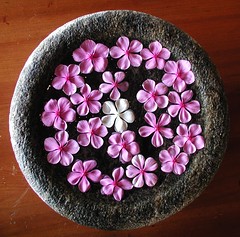Flower bowl in a Spa