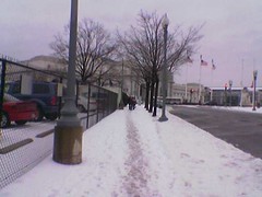 Icy Sidewalk