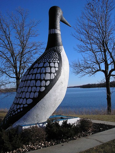 World's Largest Loon
