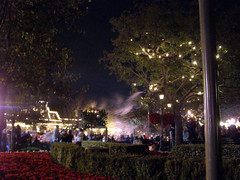 Disneyland in December (46)