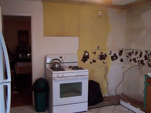 Kitchen After Demo