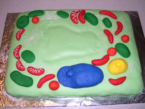 plant cell cake. plant cell. yellow cake