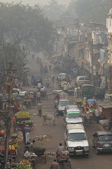 delhi street