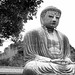 [JP] the great buddha