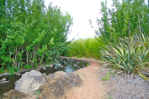 canberra creek