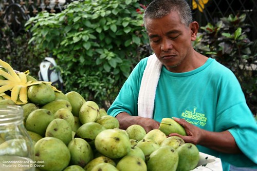  green mango manila vendor Pinoy Filipino Pilipino Buhay  people pictures photos life Philippinen  菲律宾  菲律賓  필리핀(공화국) Philippines    