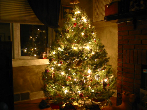 Put the Lights On the Tree