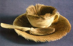 Meret Oppenheimer's Furry Cup