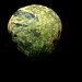 Small Planet 1417