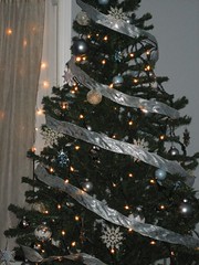 oh christmas tree, oh christmas tree