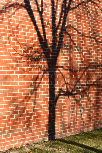 Tree On Brick 0929