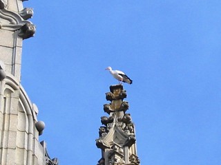 Cigüeña posada en lo alto de un pináculo de San Juan de los Reyes, Toledo.
