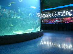 Aquarium at a Restaurant
