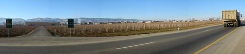 Vineyards near Yevlax, Azerbaijan / イェブラック町の近くのぶどう園（アゼルバイジャン）