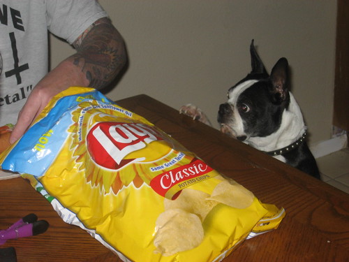Gimme some chips!