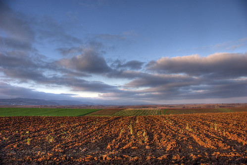 field by PauPePro @ flickr.com