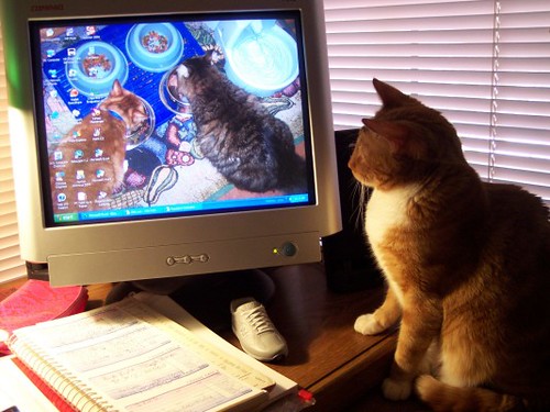 Tugger Ponders His Image on the Desktop