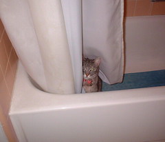 Xena in the tub