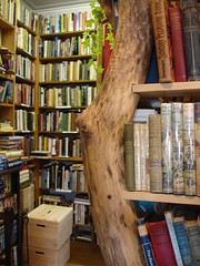 Booktree & Biography Corner