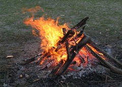 800px-Campfire_4213