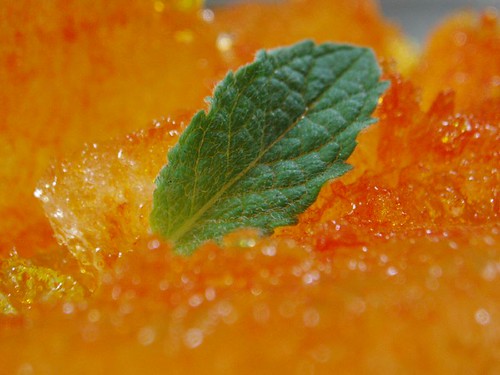 orange ice burg!!!!!