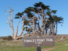 20070107 Tomales Point Trail