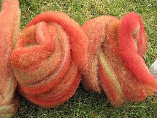 dyed cormo, recarded