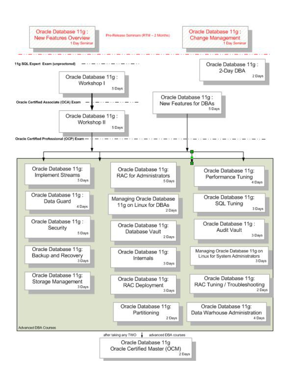 Oracle11g认证体系结构