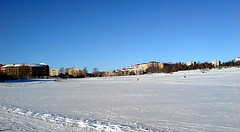Vinter i Stockholm, Gärdet