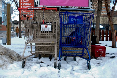 shopping cart #20